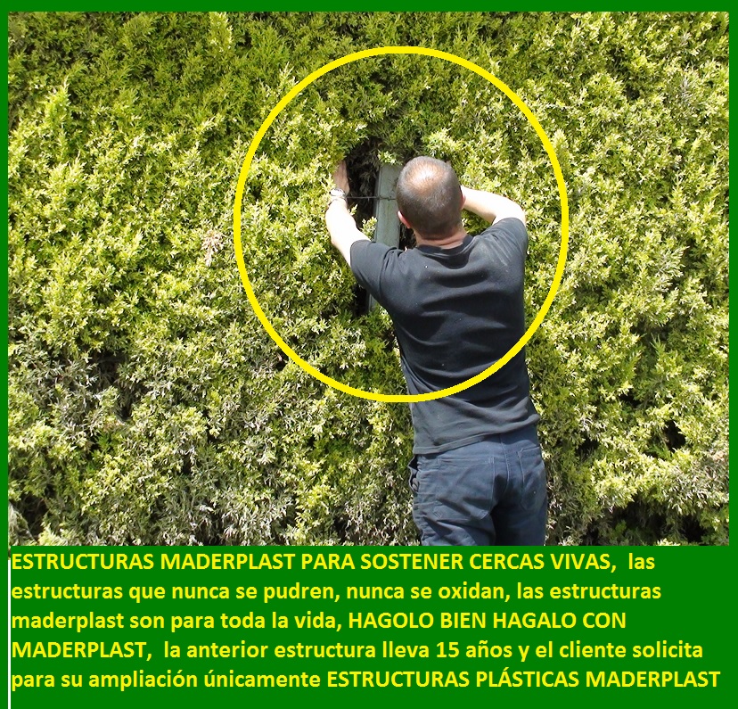 estructuras soportes apoyos de cercas vivas poste cerca viva pilote pértiga maya cerca viva percha para sostener arbustos fachadas verdes vivas postes terrazas fachadas flotantes 000a 1234567890 estructuras soportes apoyos de cercas vivas poste cerca viva pilote pértiga maya cerca viva percha para sostener arbustos fachadas verdes vivas postes terrazas fachadas flotantes 000a9876543210 estructuras soportes apoyos de cercas vivas poste cerca viva pilote pértiga maya cerca viva percha para sostener arbustos fachadas verdes vivas postes terrazas fachadas flotantes 000a